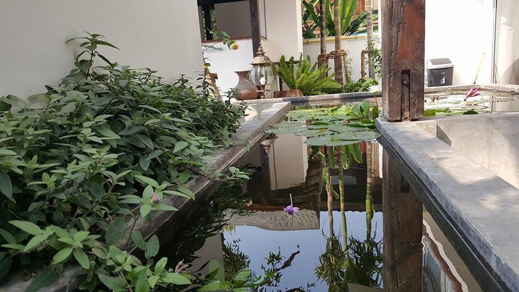The Home Chiangmai Luxury Guesthouse Chiang Mai Exteriör bild